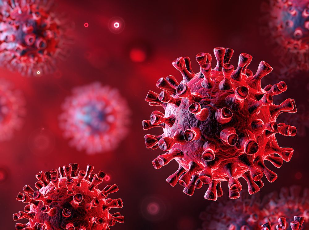 A Tale of Two Viruses